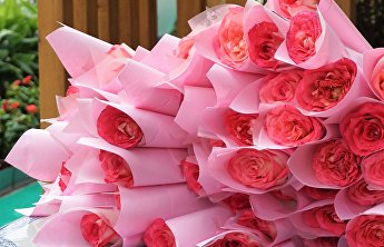 上合组织秘书处庆祝国际妇女节 上合组织秘书处庆祝国际妇女节