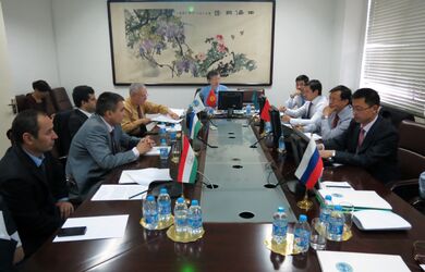 Межмидовские консультации по вопросам расширения Организации