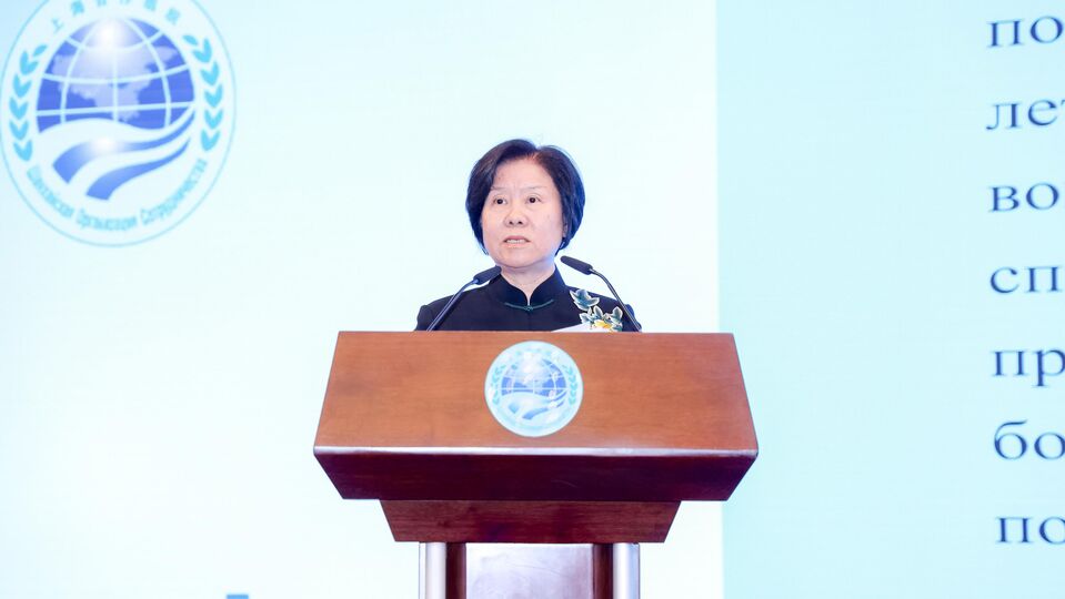 2025“上海合作组织日”招待会在北京举行