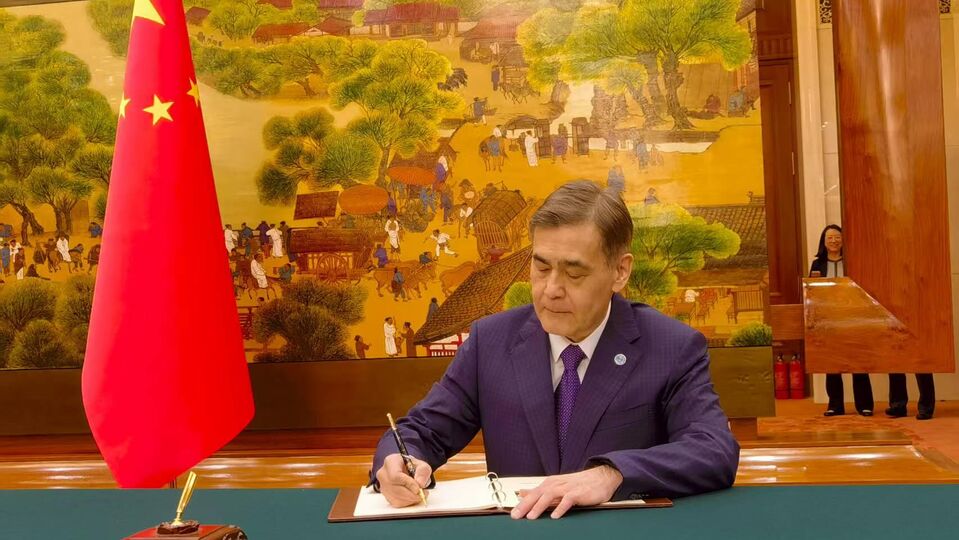 上海合作组织秘书长叶尔梅克巴耶夫出席相关国家新任驻华大使递交国书仪式并会见中国国家主席习近平