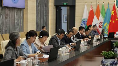 上海合作组织天津峰会成果圆桌研讨会 | 国务院发展研究中心欧亚社会发展研究所副所长许涛