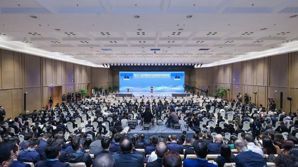 上海合作组织副秘书长出席第三十二届中国杨凌农业高新科技成果博览会