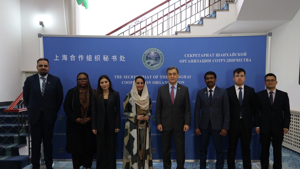 上海合作组织秘书长叶尔梅克巴耶夫会见数字合作组织秘书长叶海亚