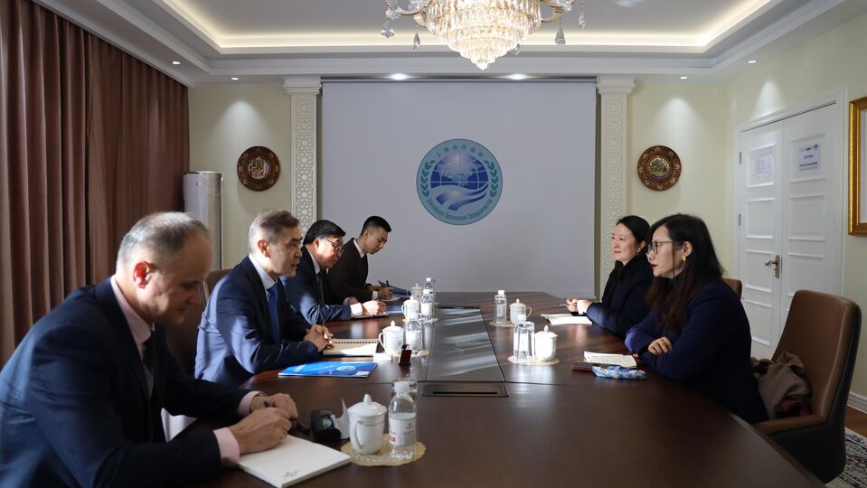 上海合作组织秘书长叶尔梅克巴耶夫会见上海国际问题研究院代表