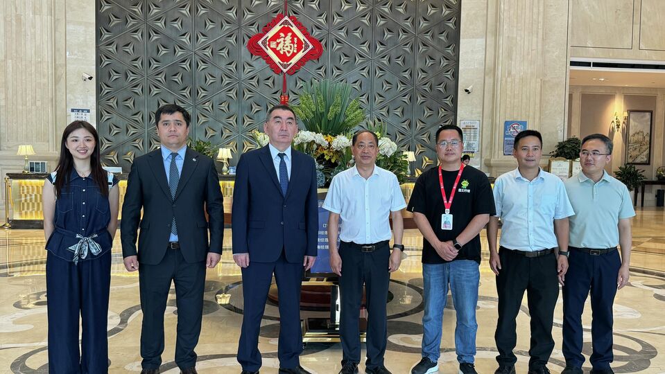 上合组织代表出席2026重庆国际友好城市合作大会