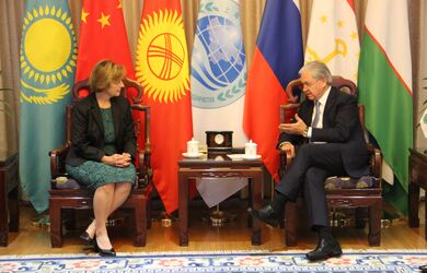 Весна Пусич