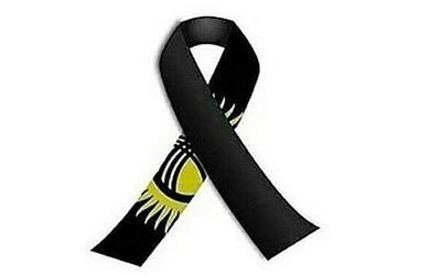 Секретариат ШОС выразил соболезнования и поддержку народу Кыргызской Республики