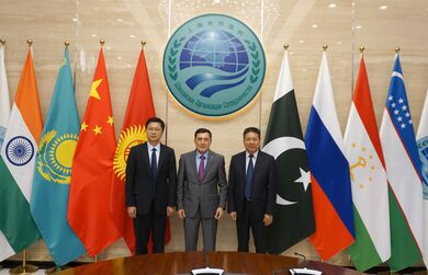 Генеральный секретарь ШОС встретился с делегацией демонстрационной зоны Янлин провинции Шэньси